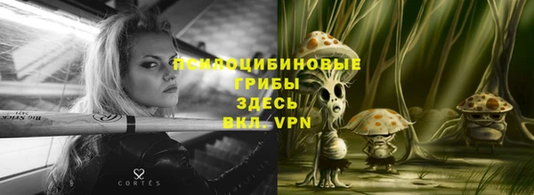 героин Покачи