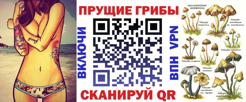 где купить наркоту Тбилисская Галлюциногенные грибы мухоморы